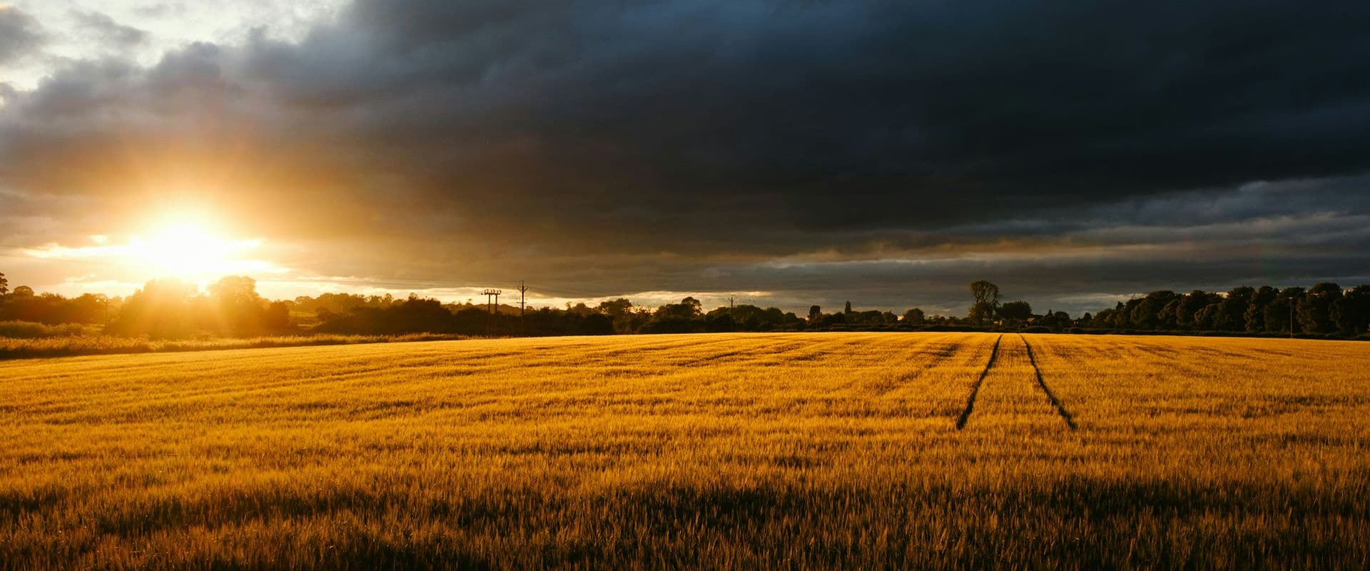 Web Design Thirsk page header image