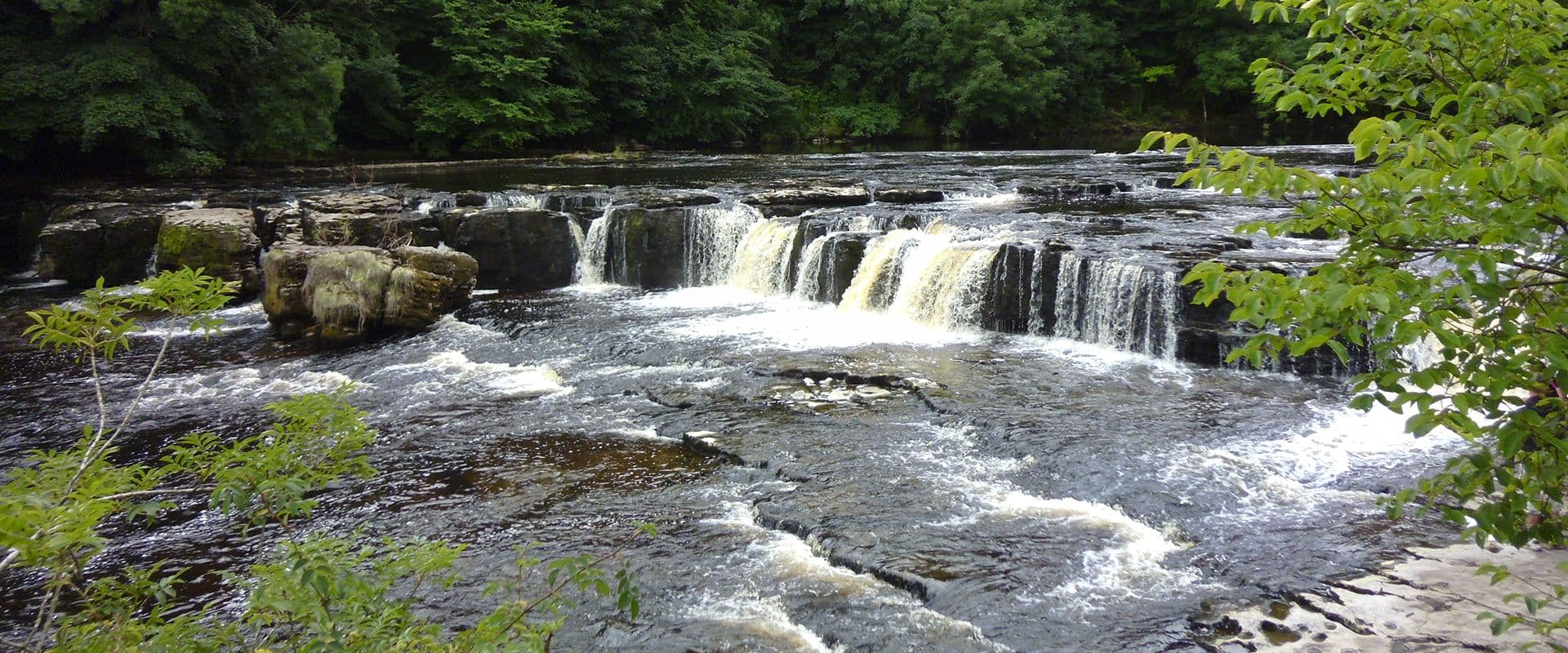 Web Design Leyburn page header image