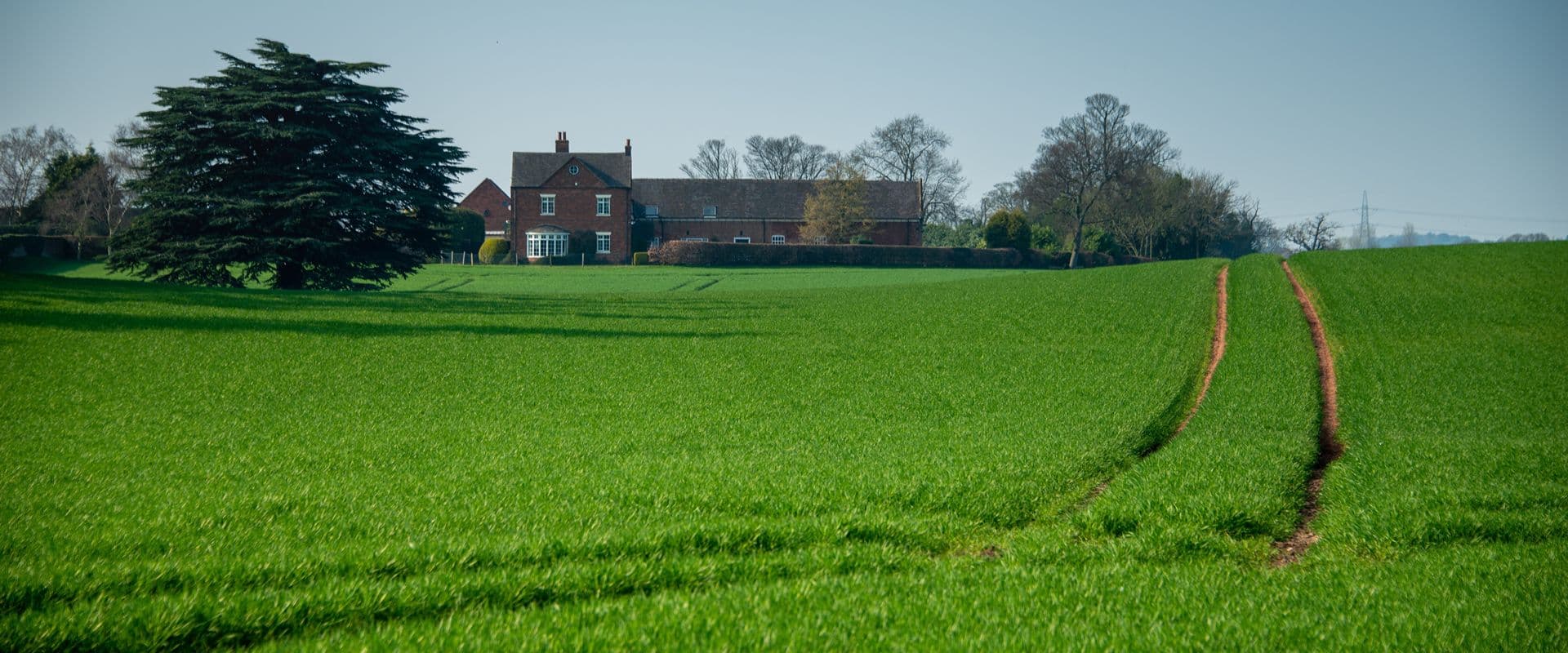 Web Design Easingwold page header image