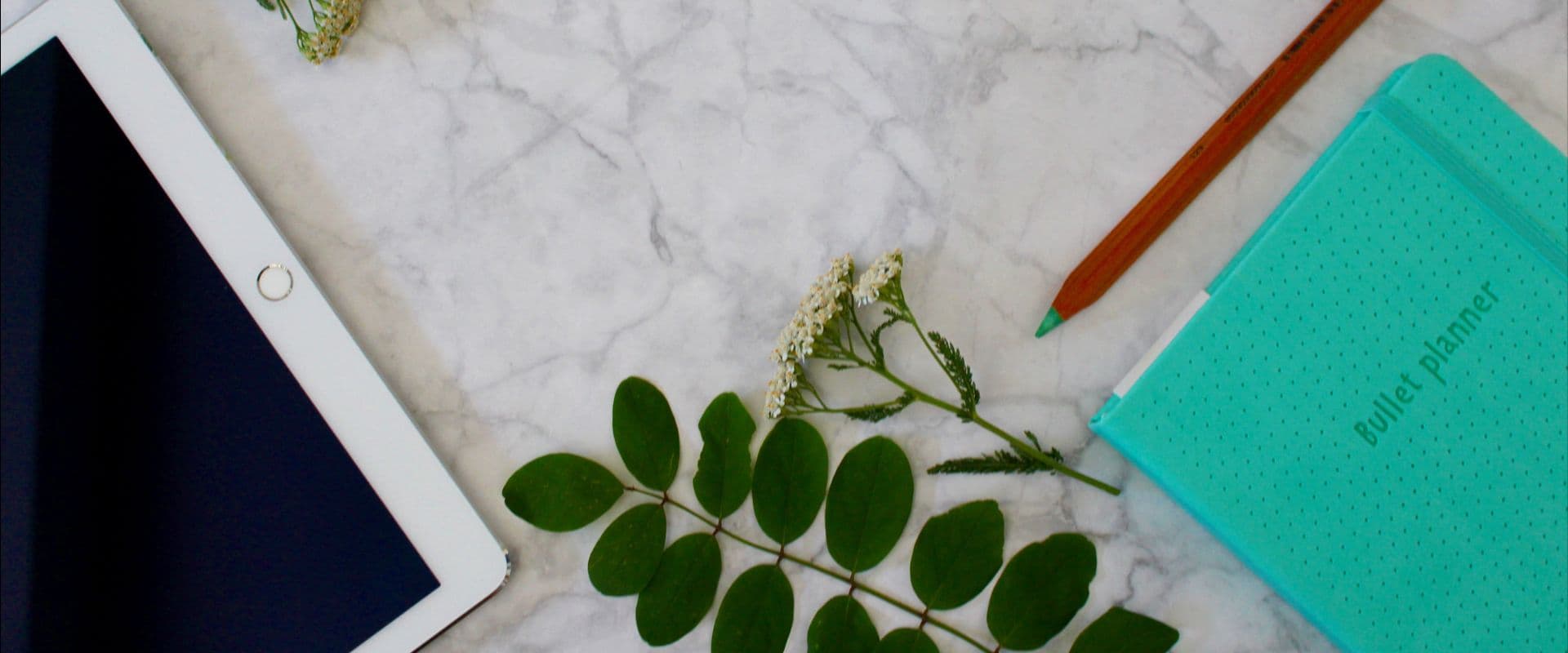 Animately page header image