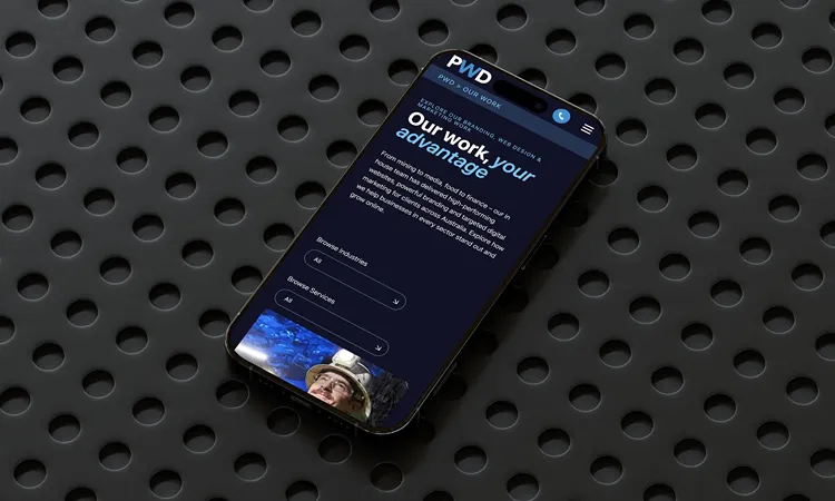 PWD website on mobile